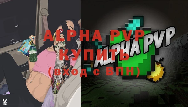 гашик Вязники