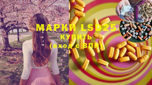 гашик Вязники
