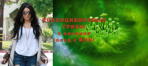 гашик Вязники